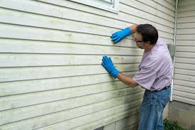 Best Vinyl Siding Installation  in Grangeville, ID